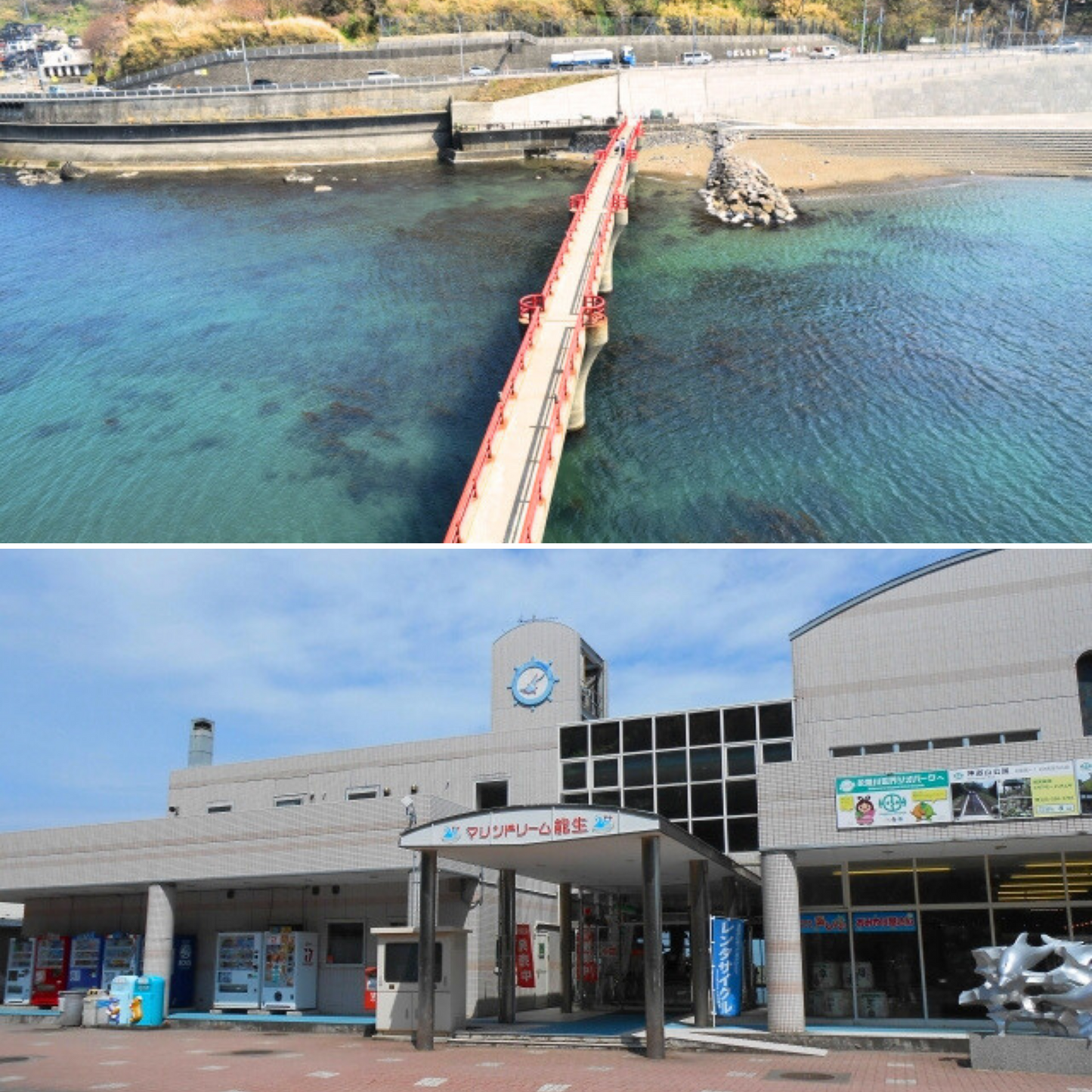 魚醤油の概念が覆る!水産高校の研究から生まれた鮭魚醤としいたけの旨味の融合