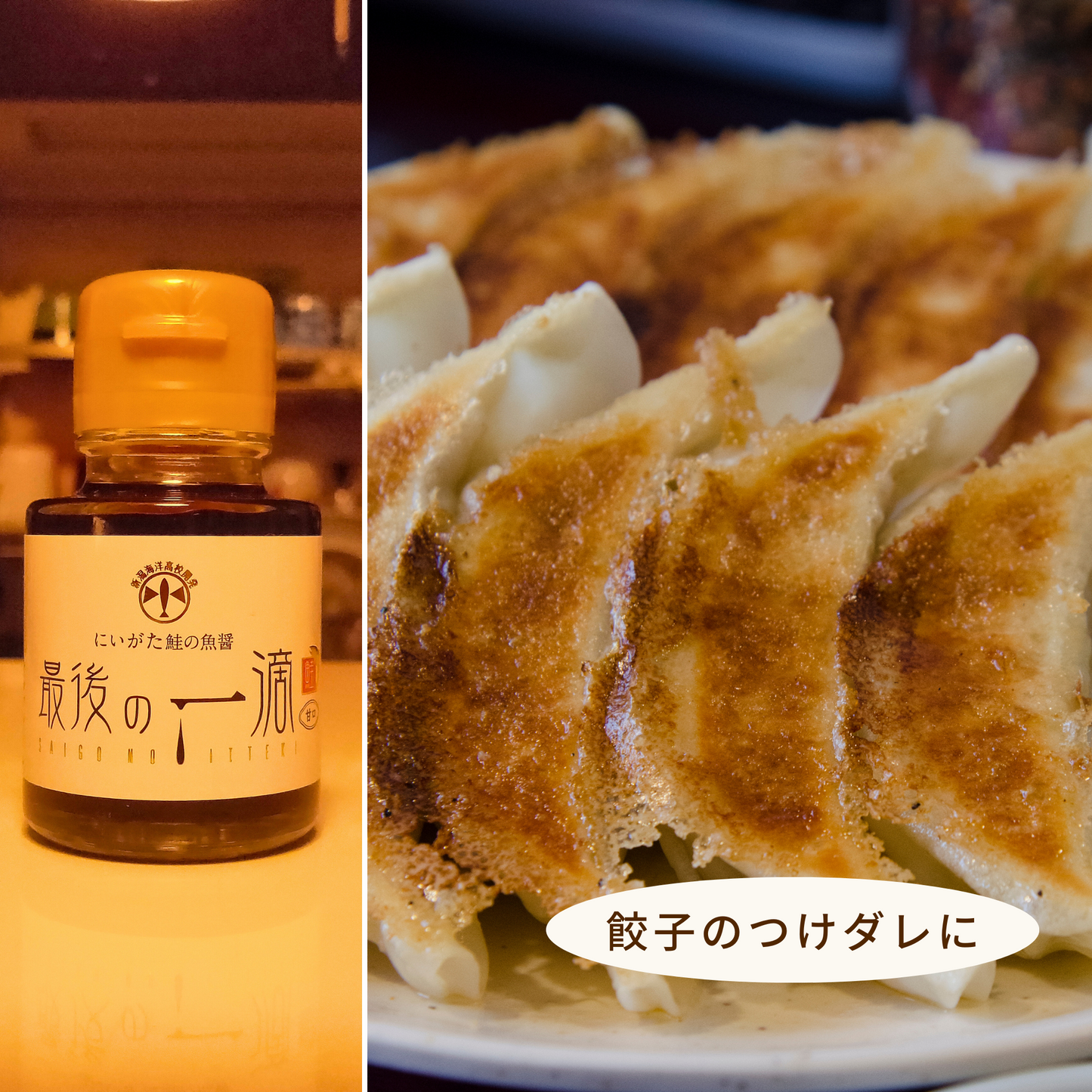 魚醤油の概念が覆る!水産高校の研究から生まれた鮭魚醤としいたけの旨味の融合